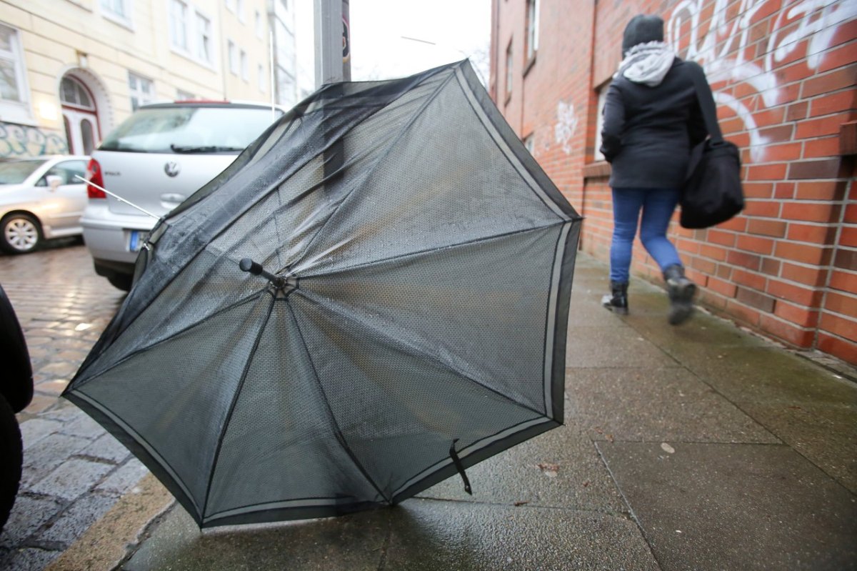 Wetter Hamburg Regen.jpg