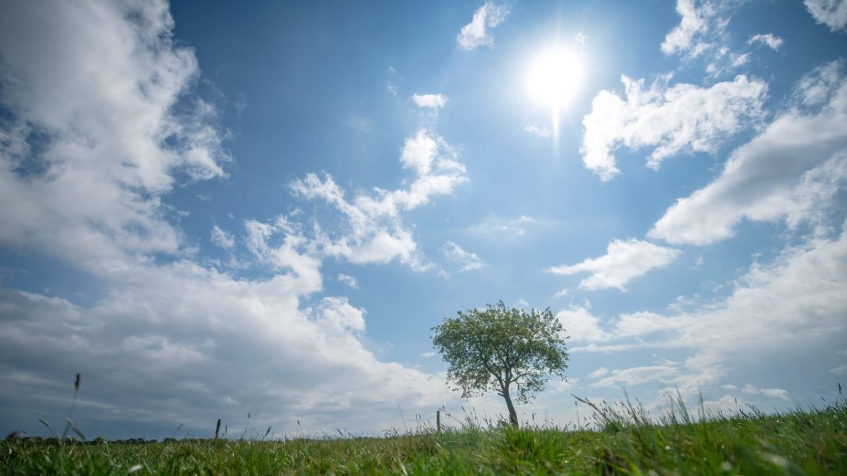 Wetter Hamburg Schleswig-Holstein Donnerstag Freitag.jpg