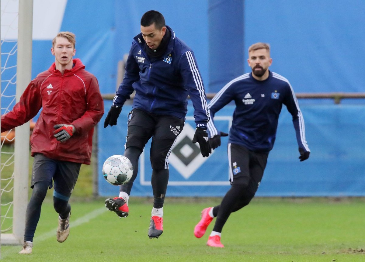 hamburger-sv.jpg