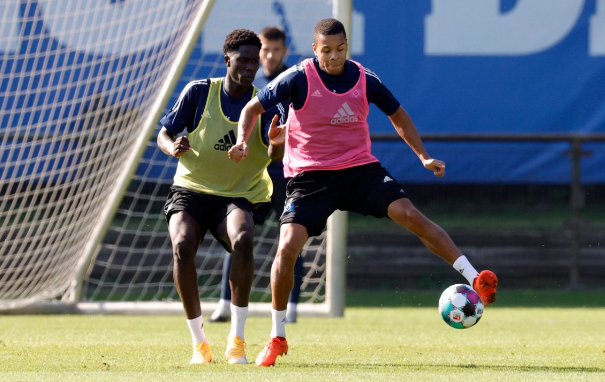 hamburger-sv.jpg