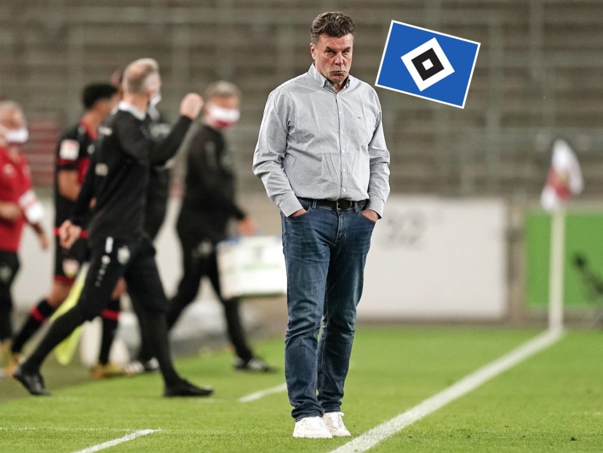 hamburger-sv-hsv-termine