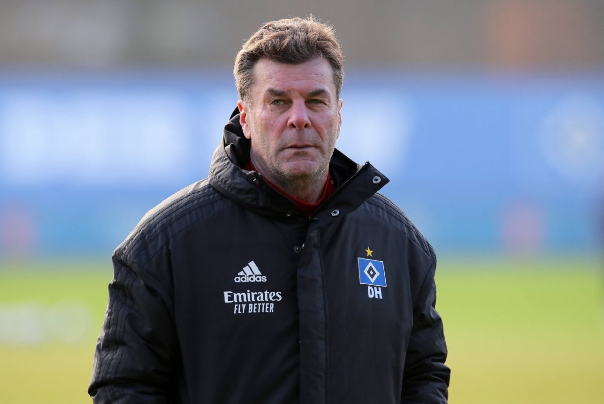 hsv-dieter-hecking-