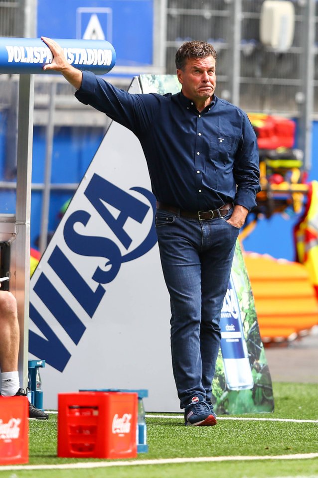 hsv-dieter-hecking