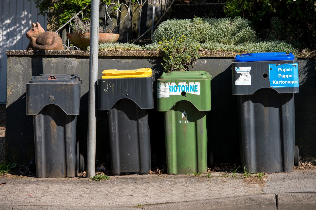 Die Mülltonnen der Frau wurden seit rund sechs Wochen nicht mehr geleert, weil Fremde darin ihren eigenen ungetrennten Abfall entsorgen. (Symbolbild) 