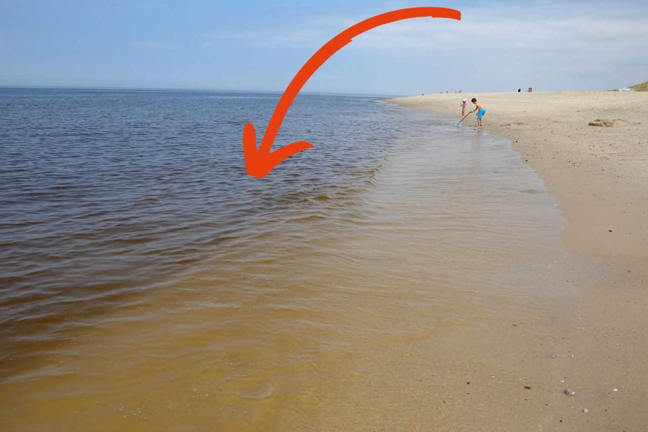 Am Strand von Sylt färbt sich das Wasser braun. 