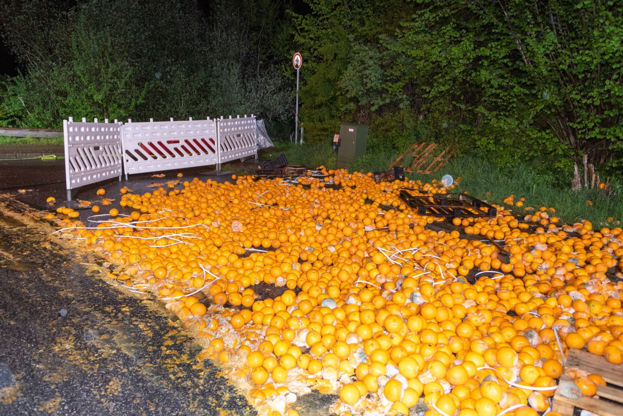In Neu Wulmstorf bei Hamburg haben Unbekannte sechs Tonnen Orangen entsorgt.