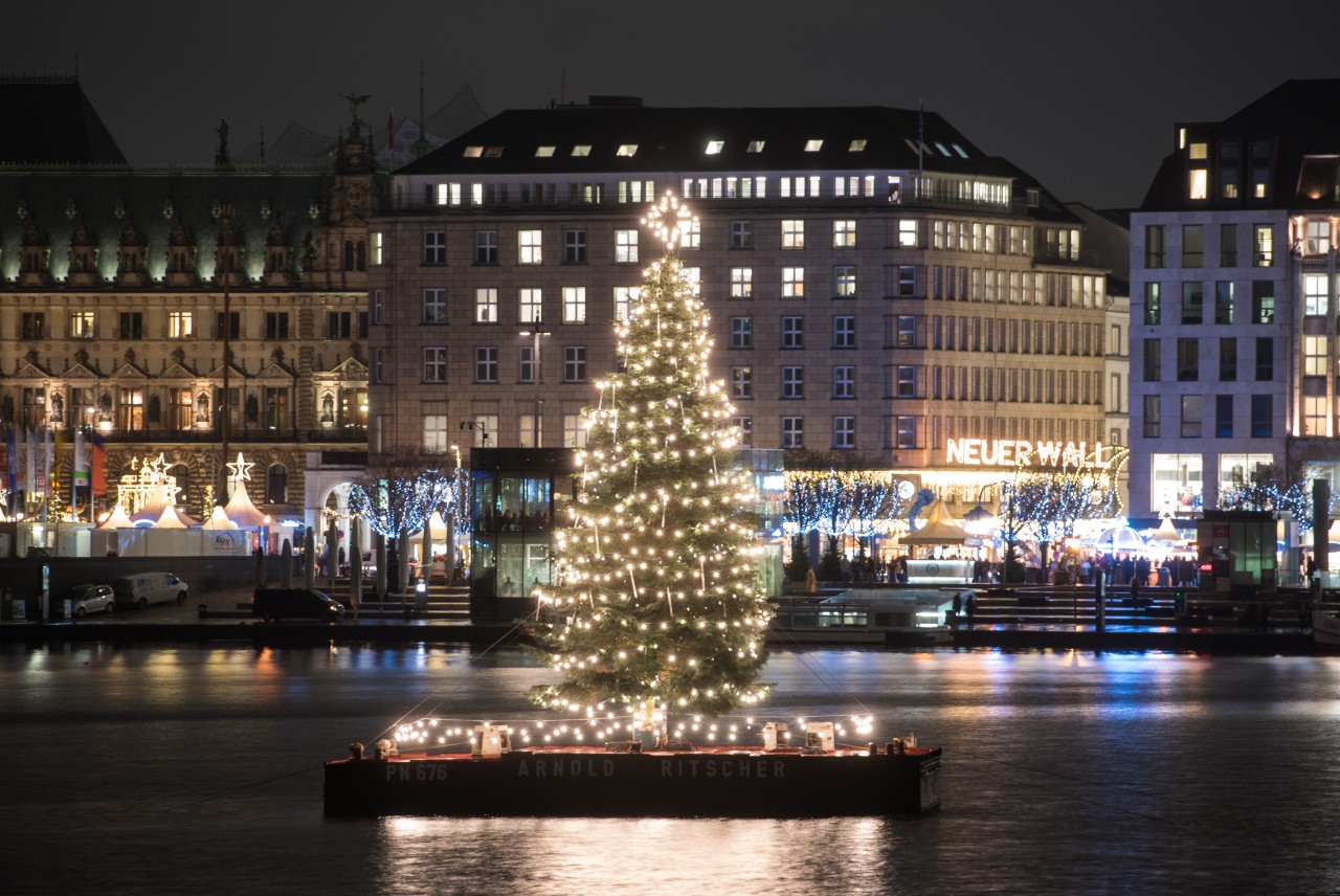Die Weihnachtsbäume aus Hamburg können nach dem Fest neu benutzt werden. (Symbolbild)