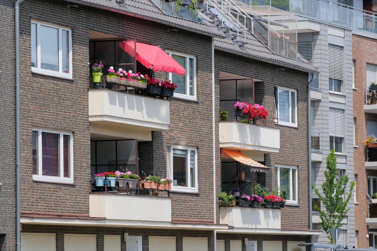 Auf ihrem Balkon in Hamburg hat eine Frau eine überraschende Entdeckung gemacht (Symbolbild).