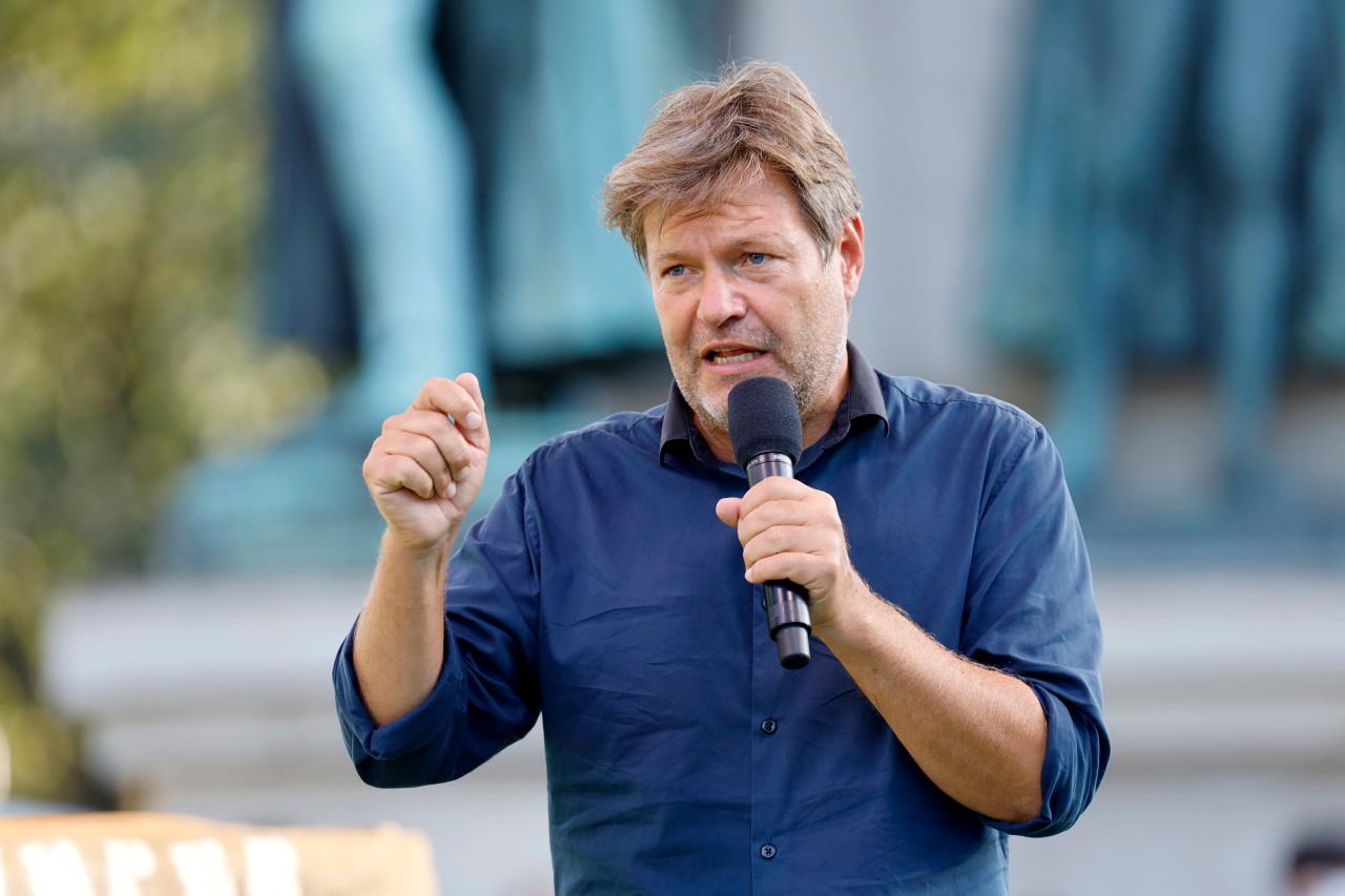 Robert Habeck, Grünen-Chef und Direktkandidat seiner Partei im Wahlkreis Flensburg-Schleswig