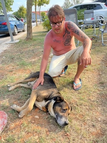 Sebastian hat auf einem Camping-Platz in Kroatien einen einsamen Hund angetroffen. 