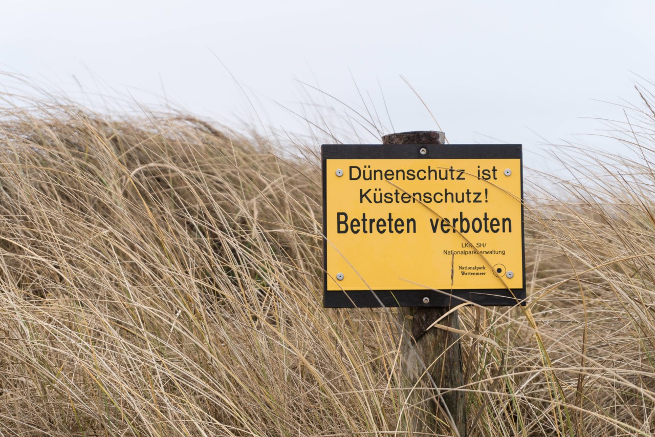 Die Dünen in Sankt Peter-Ording sind besonders schützenswert. 