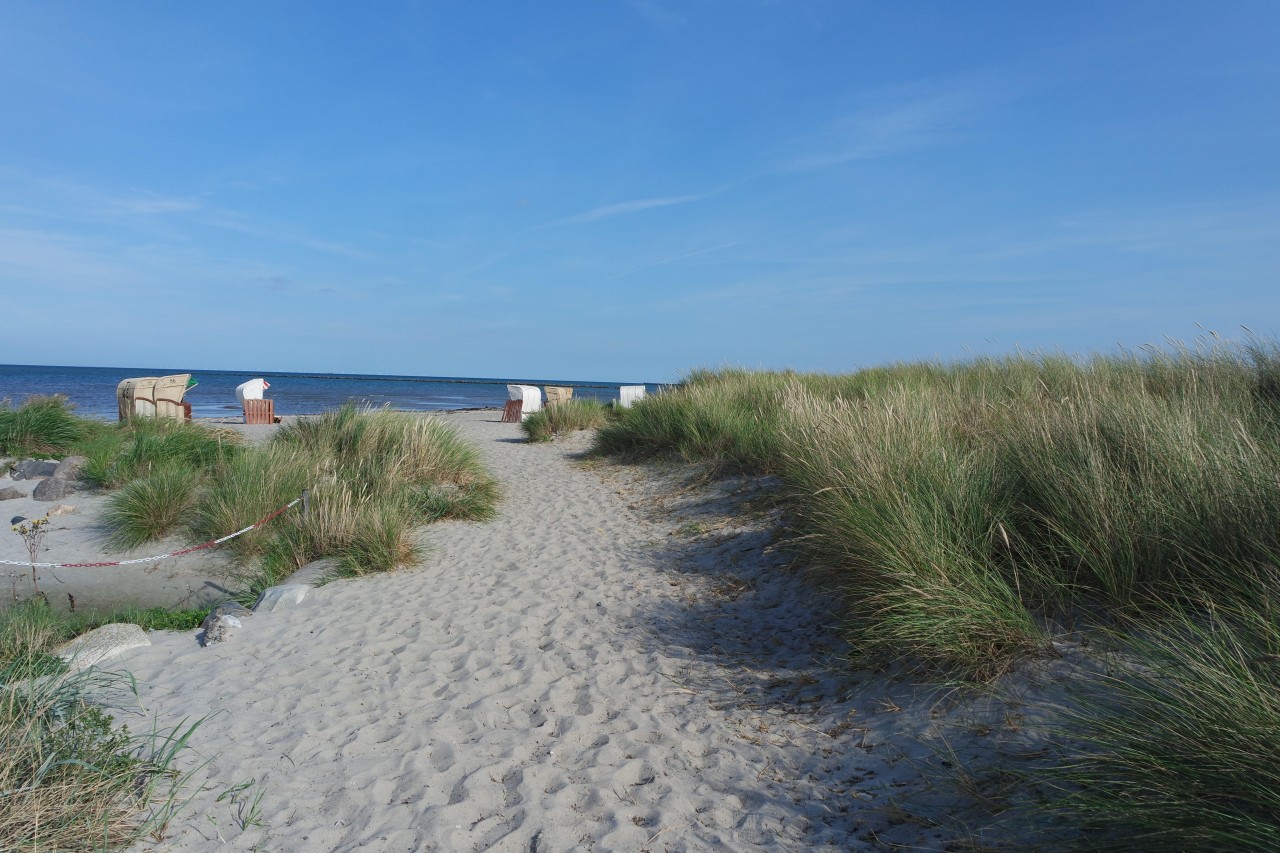 Strand an der Nordküste von Fehmarn.