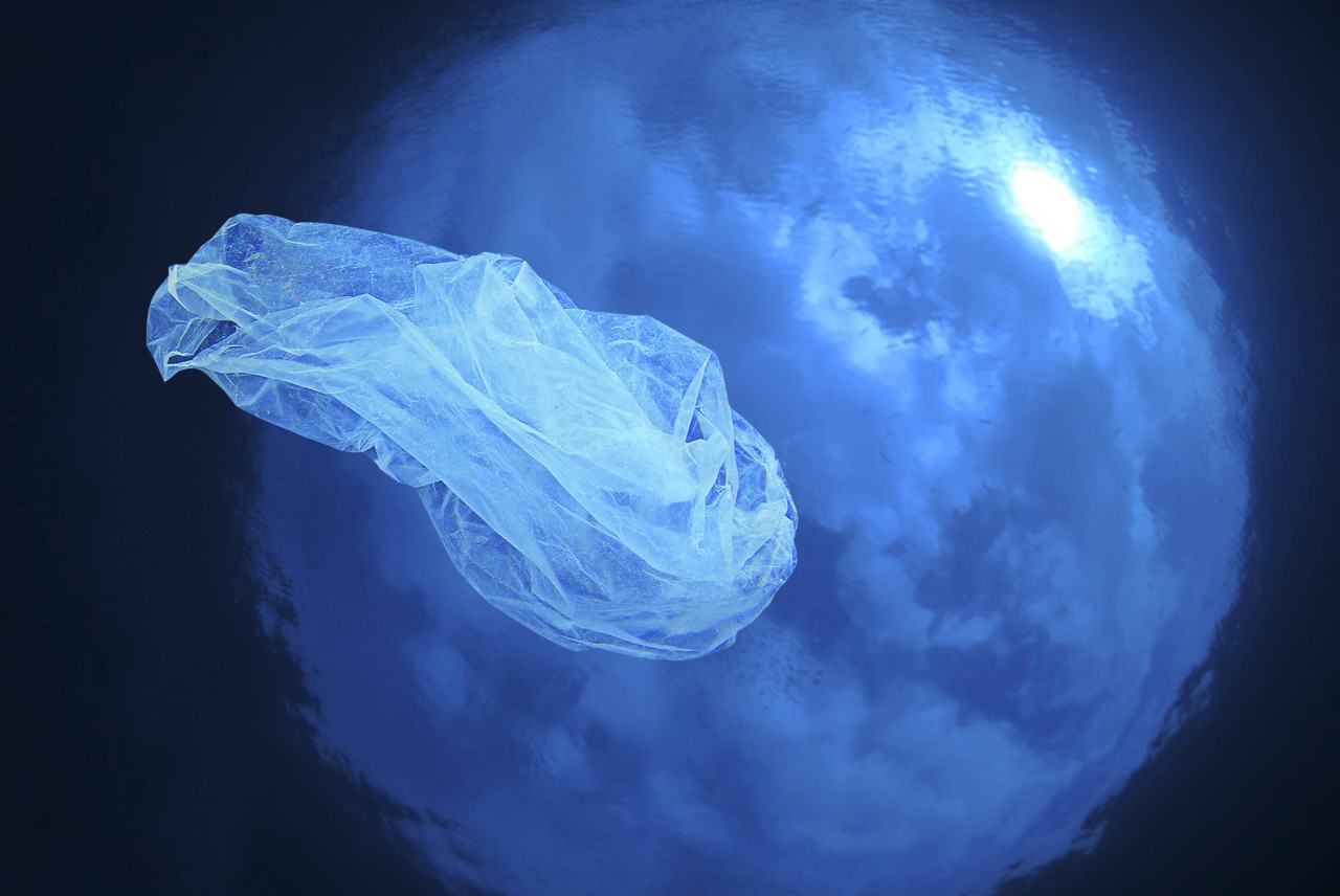Sogenannte Geisternetze nehmen einen großen Anteil an Plastikmüll in den Weltmeeren ein. An der Ostsee soll dieses Problem jetzt verschärfter angegangen werden.
