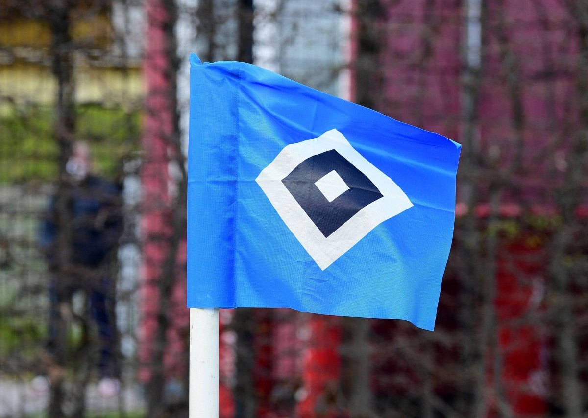 HSV.jpg