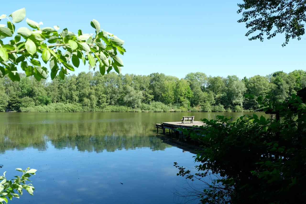 Ein weiteres Highlight in Bramfeld: Der Bramfelder See.