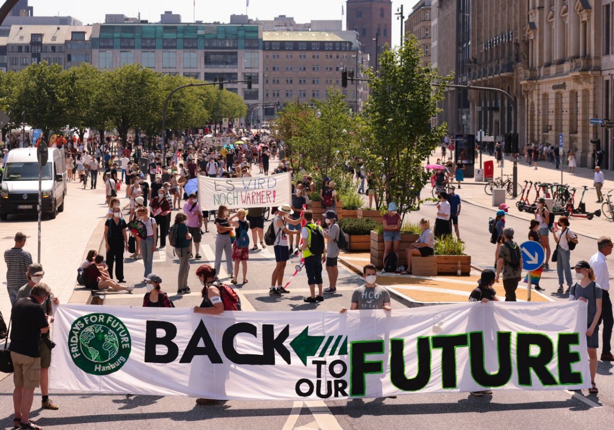 Hamburg Fridays For Future.jpg