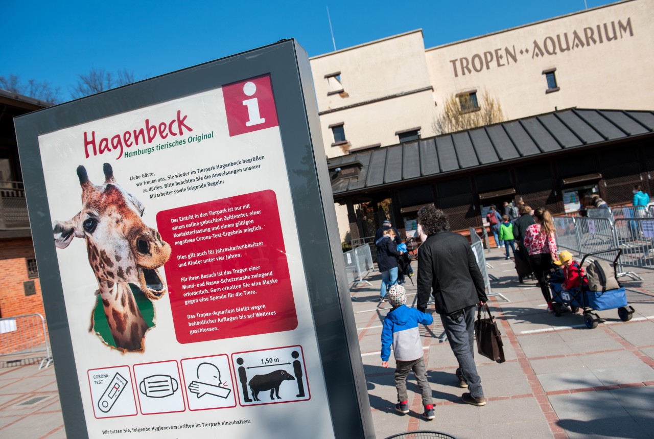 Der Tierpark Hagenbeck empfängt seit Ende April wieder Besucher. Und hat jetzt ein neues Angebot geschaffen. Der Tierpark Hagenbeck empfängt seit Ende April wieder Besucher. Und hat jetzt ein neues Angebot geschaffen.