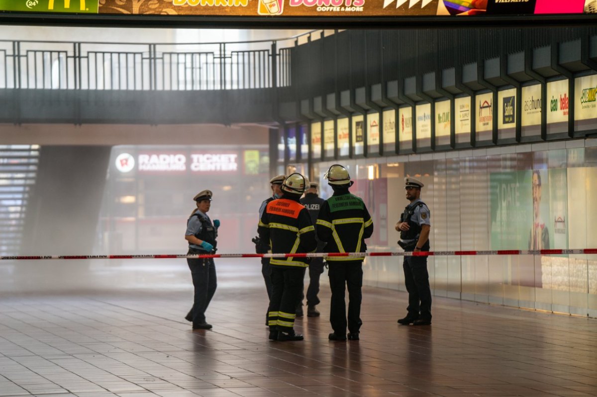 Hamburg Hauptbahnhof.jpeg