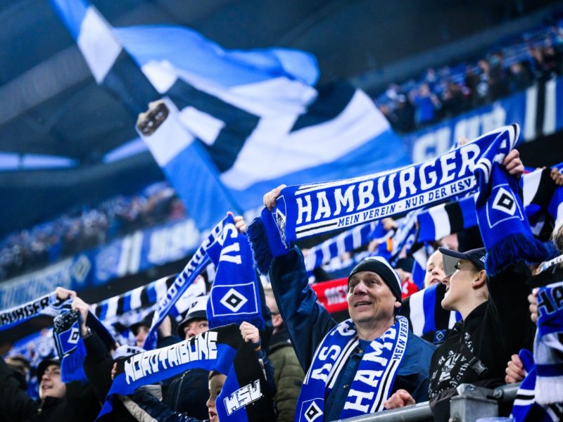 Hamburger SV HSV.jpg