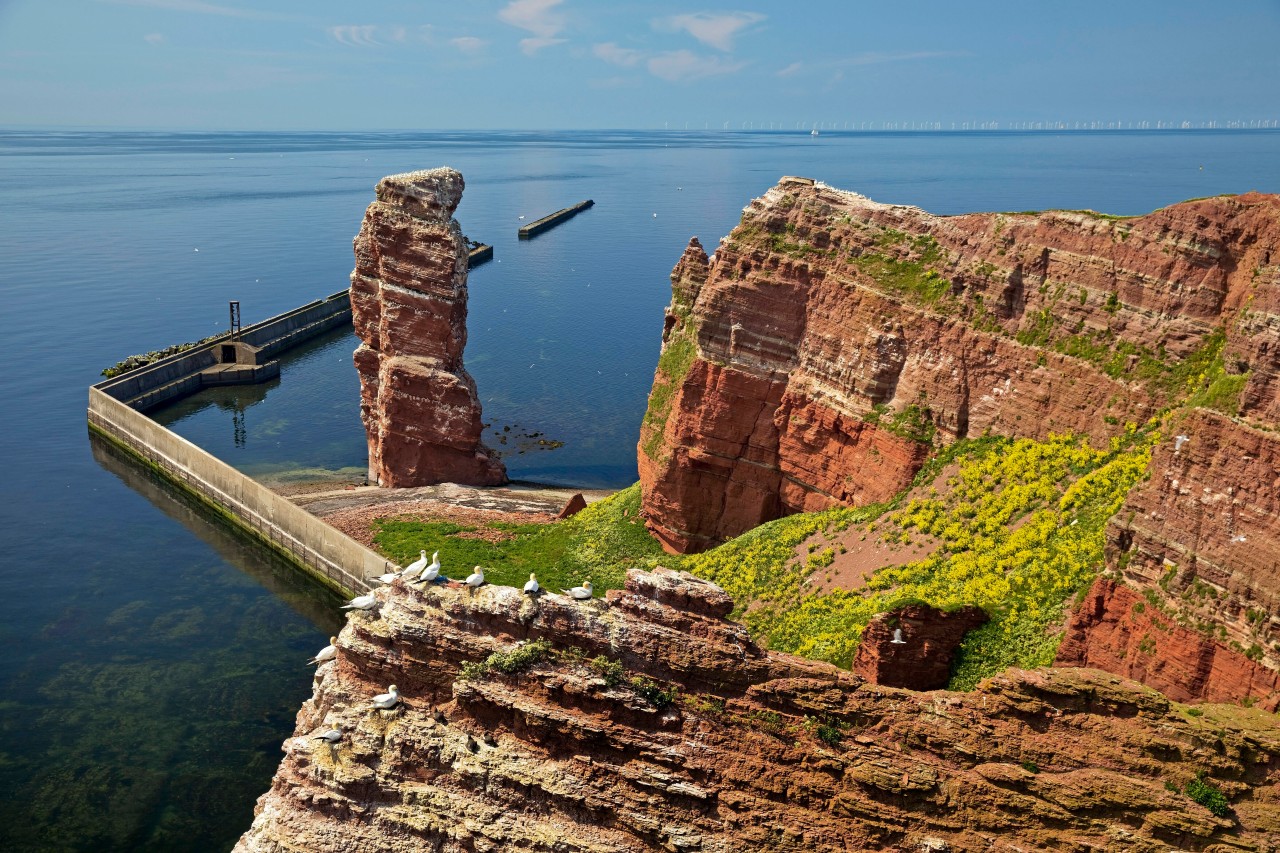 Eine Tradition von Helgoland steht auf der Kippe, Insel-Freunde protestieren (Symbolbild).