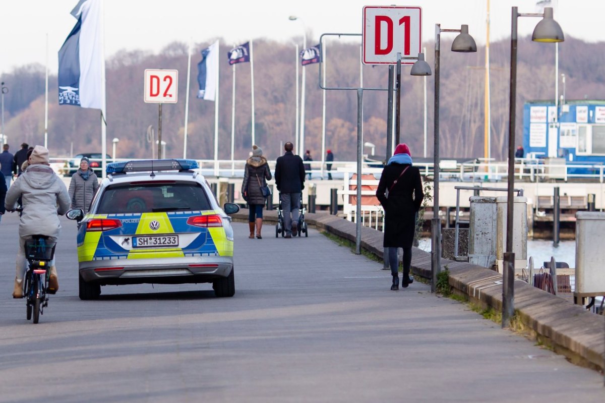 Kiel Seehund Kieler Förde Innenförde Wasserschutzpolizei Lebensraum Abstand
