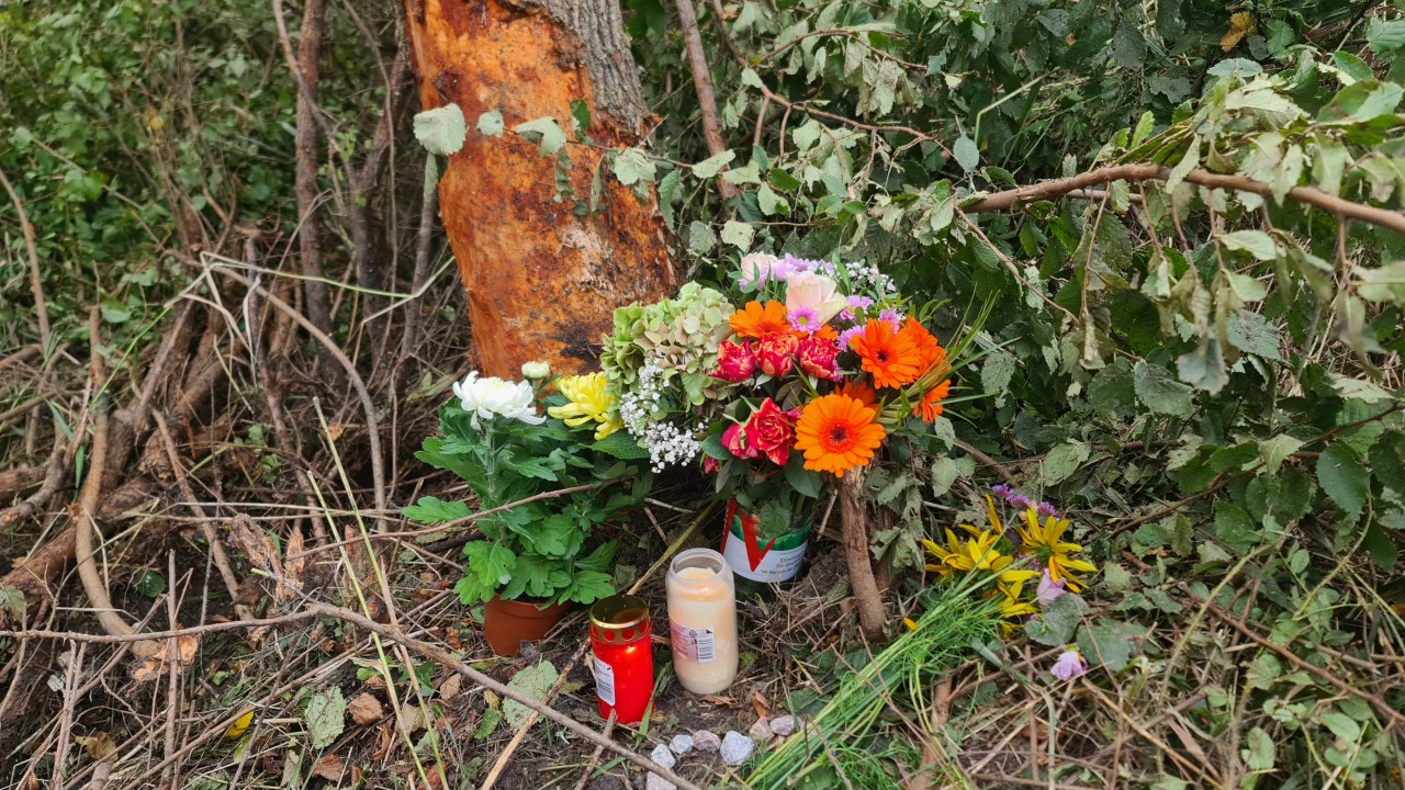 Blumen am Unfallort erinnern an die drei jungen Erwachsenen, die ums Leben kamen. 