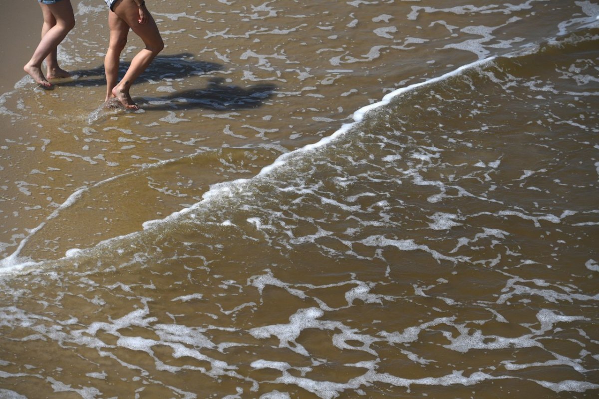 Meer Ostsee Vibrionen.jpg