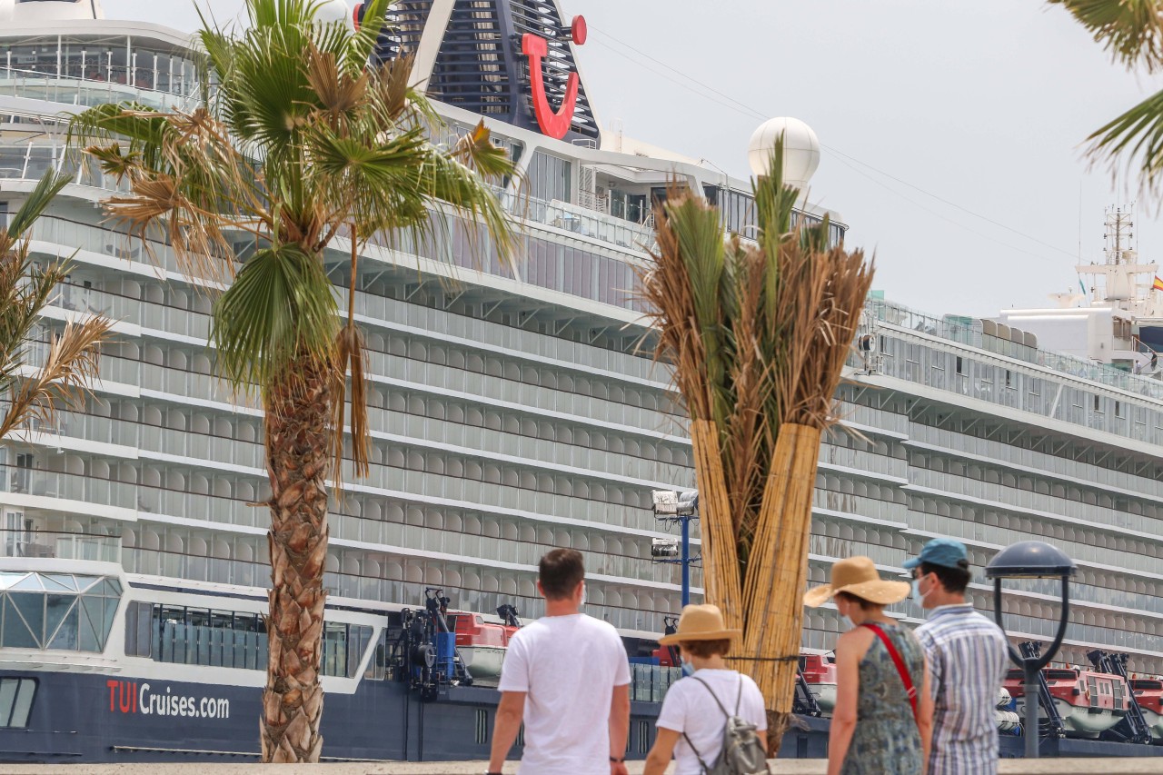 Was Passagiere der „Mein Schiff 2“ während eines Ausflugs erlebt haben, dürfte für manchen unglaublich sein (Symbolbild).