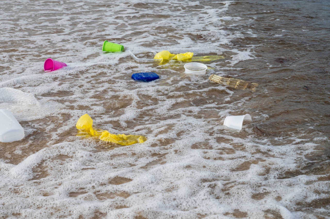 Plastikmüll treibt am Ostsee-Strand.