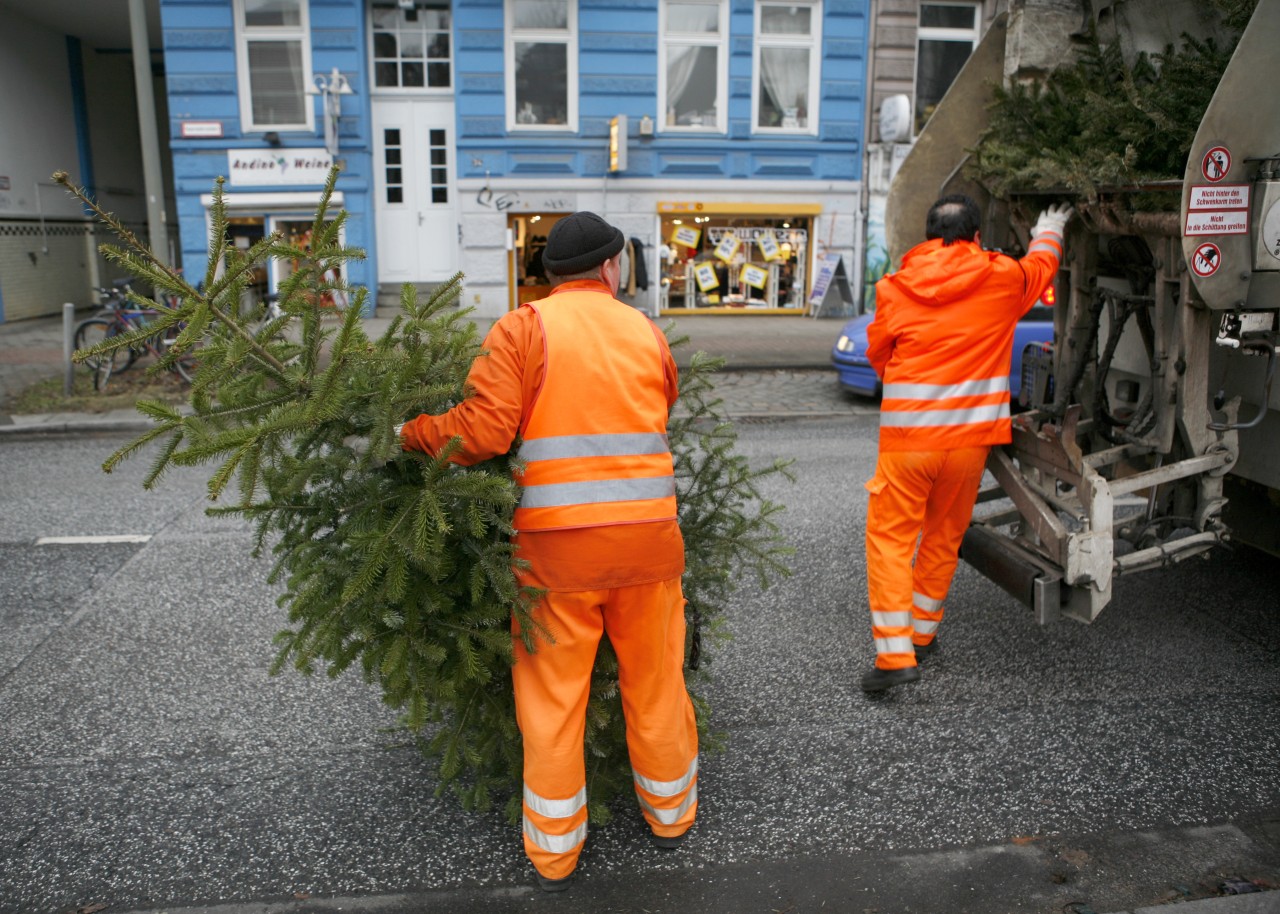 Die Stadt Hamburg sammelt nach Weihnachten die Tannenbäume der Anwohner ein. (Archivbild)