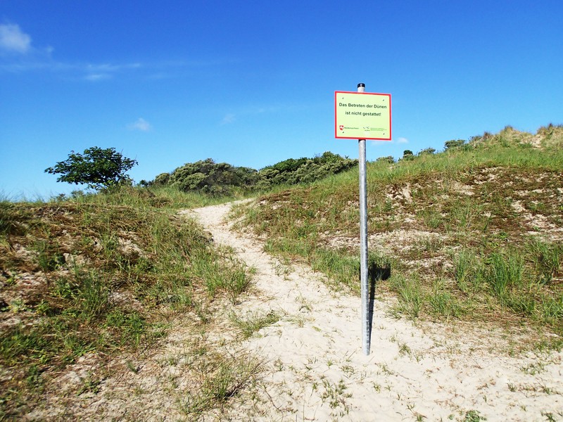 Schilder auf Norderney weisen an den offiziellen Dünenübergängen auf das Betretungsverbot der Schutzdünen hin, werden aber häufig ignoriert.