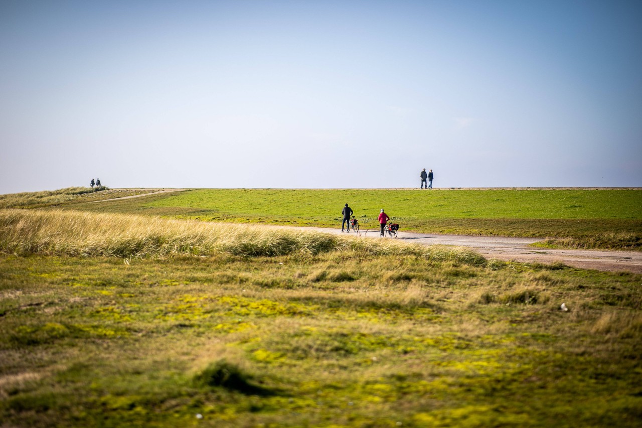 Menschen auf einem Deich auf Norderney.