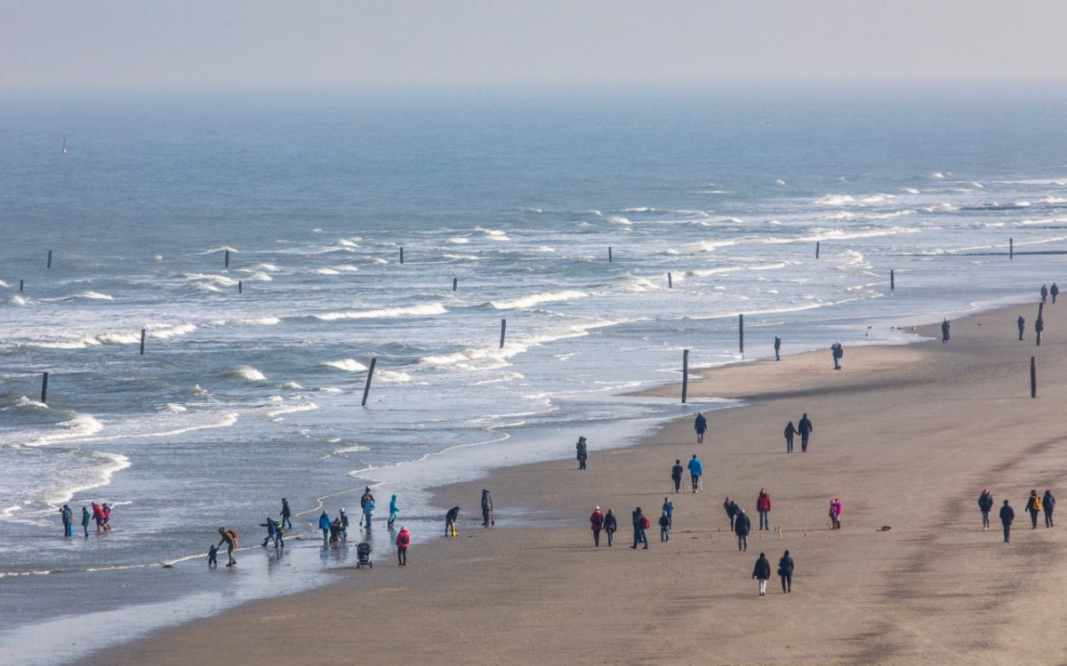 Norderney Nordsee Urlaub Frisa Tagesausflug