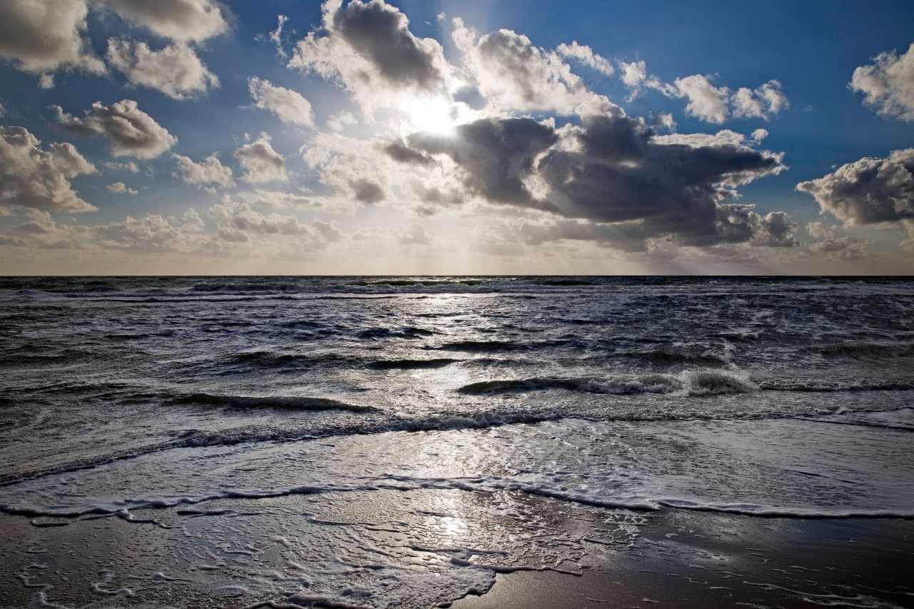 Die Nordsee kann zwar friedlich aussehen, hat aber mit vielen Problemen zu kämpfen