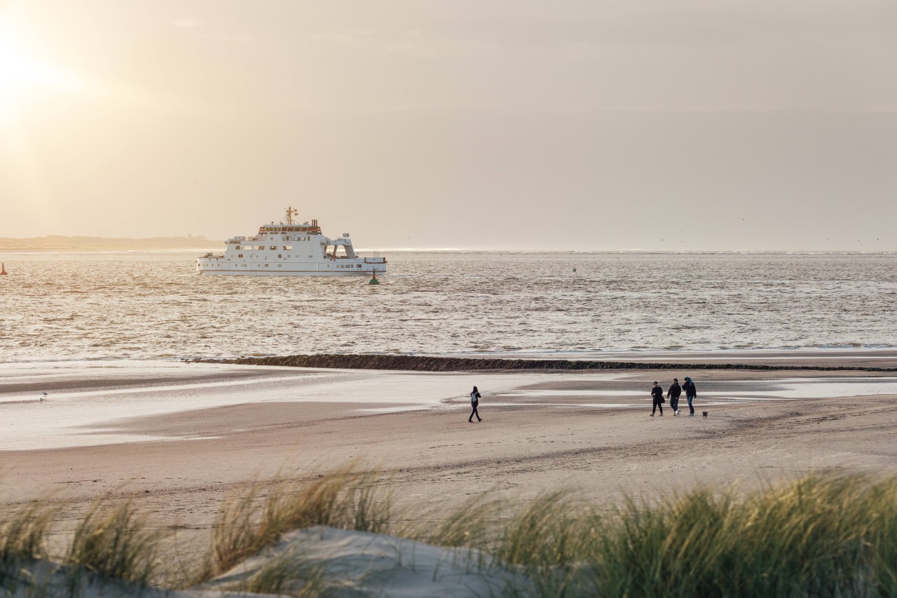 An der Nordsee ist einer Frau eine besondere Aufnahme gelungen (Symbolbild). 