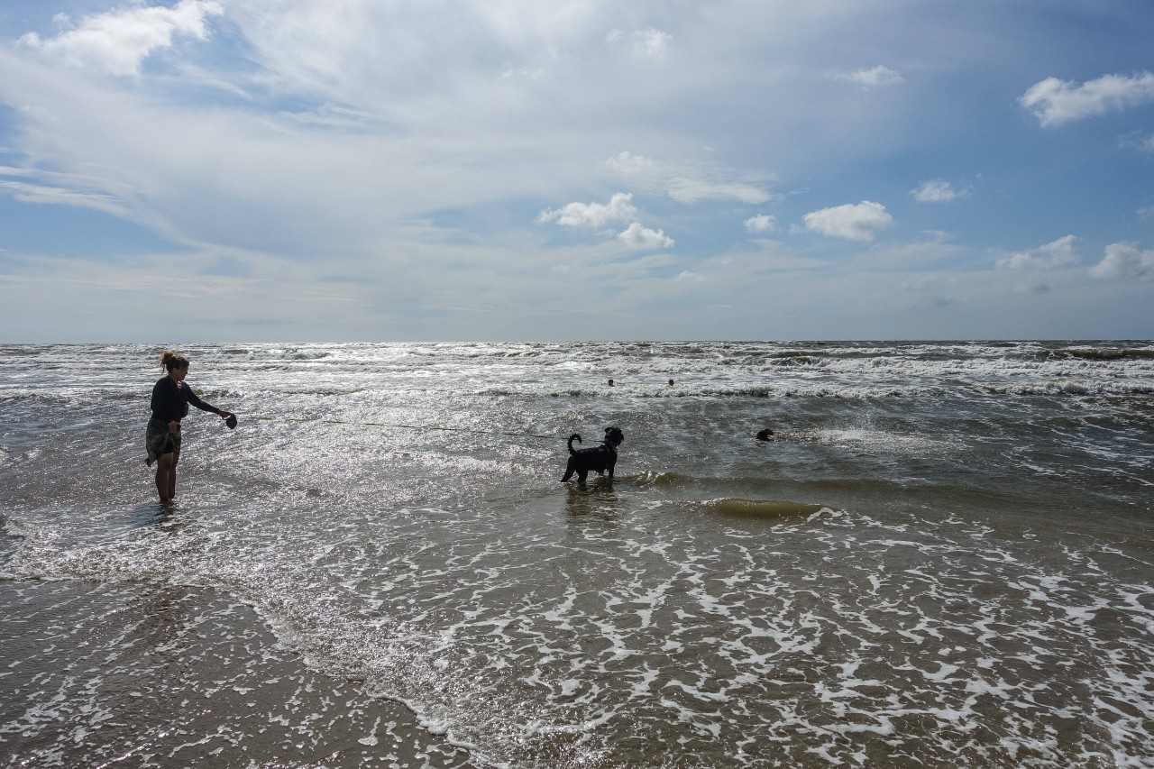 Eine Frau mit ihrem Hund am Nordsee-Strand