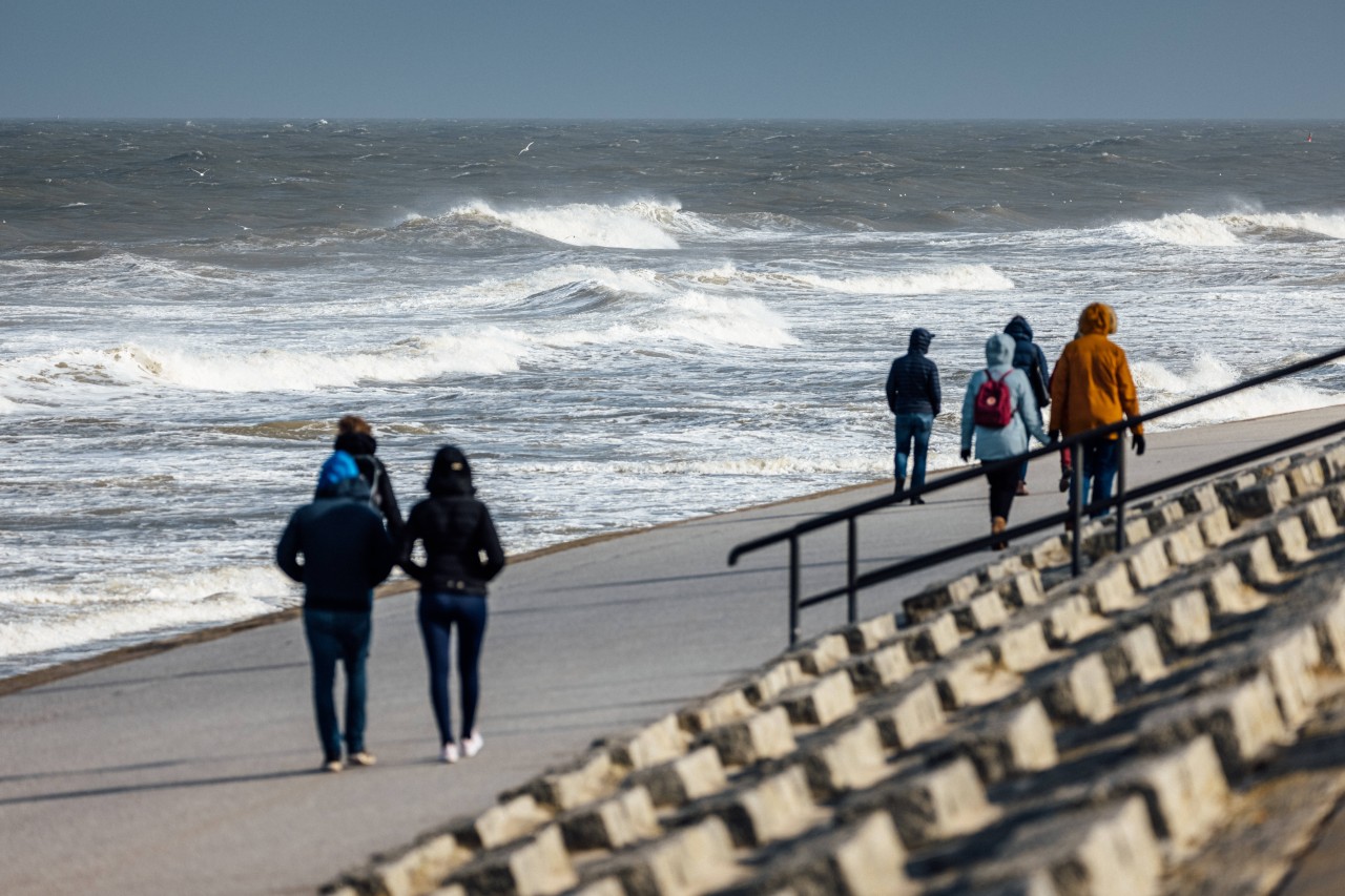 Angespülte Gegenstände erinnern an ein tragisches Ereignis auf der Nordsee (Symbolbild) 