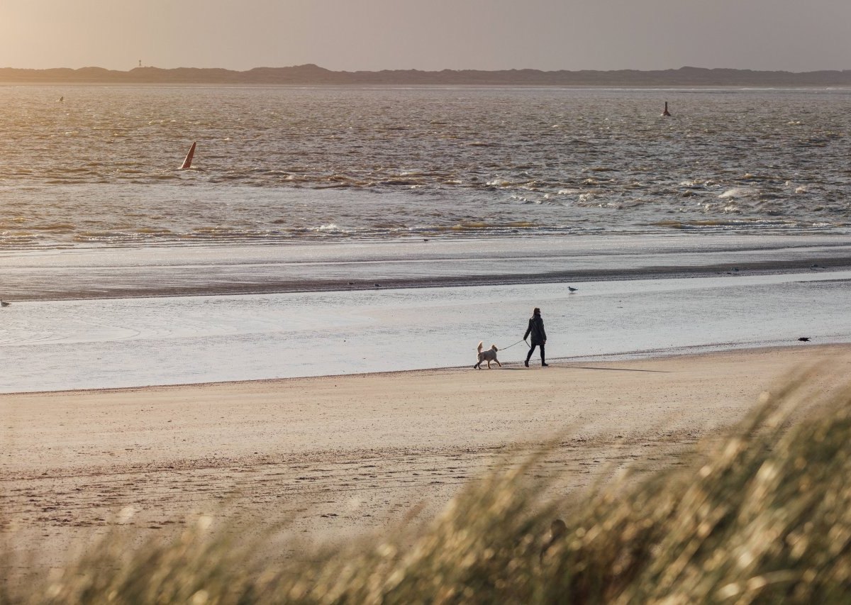 Nordsee.jpg