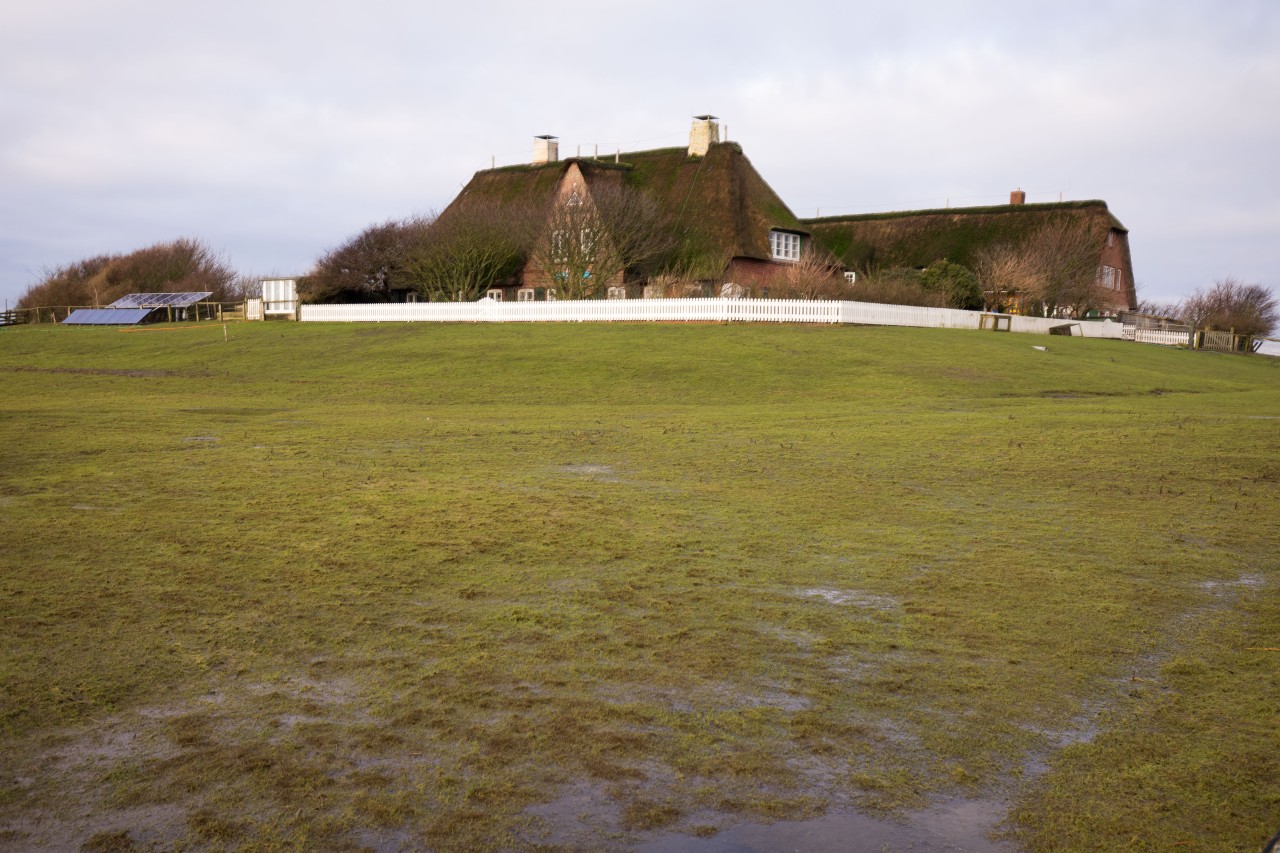 Nordsee: Blick auf ein Wohnhaus mit Scheunen auf der Hallig Süderoog. 