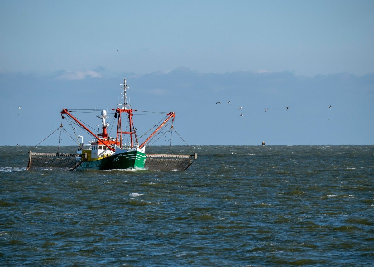 Nordsee Kutter Krabbenbrötchen Krabbenfischer Kleidung Fischer
