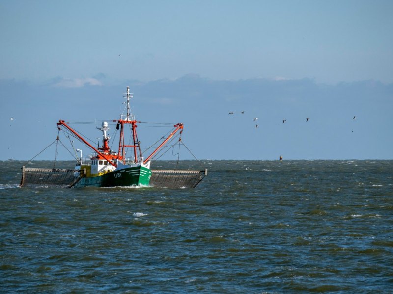 Nordsee Kutter Krabbenbrötchen Krabbenfischer Kleidung Fischer