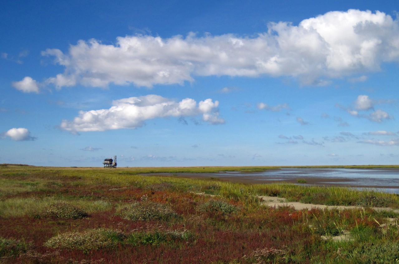Nordsee: Blick über die Salzwiesen mit dem Vogelschutz-Haus auf Trischen.