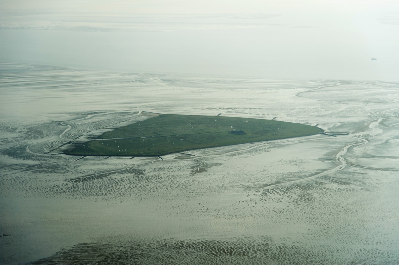 Das Wattenmeer der Nordsee bei der Hallig Süderoog.