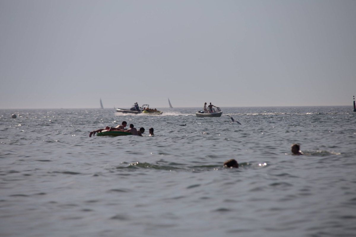 Nordsee und Ostsee.jpg