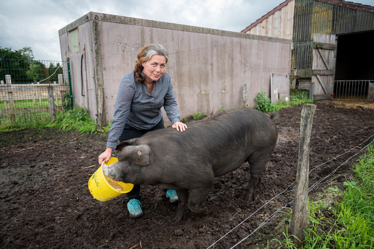 Landwirtin Nadja Poppen mit Schwein Bobby auf dem Hof in Ostfriesland.