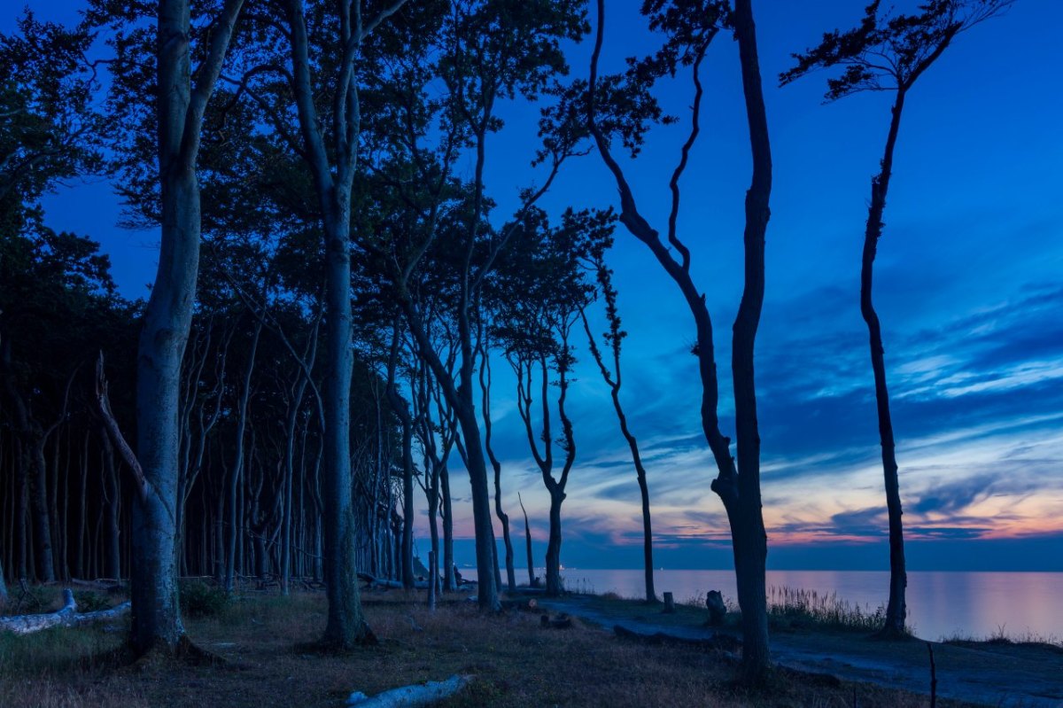 Ostsee.jpg