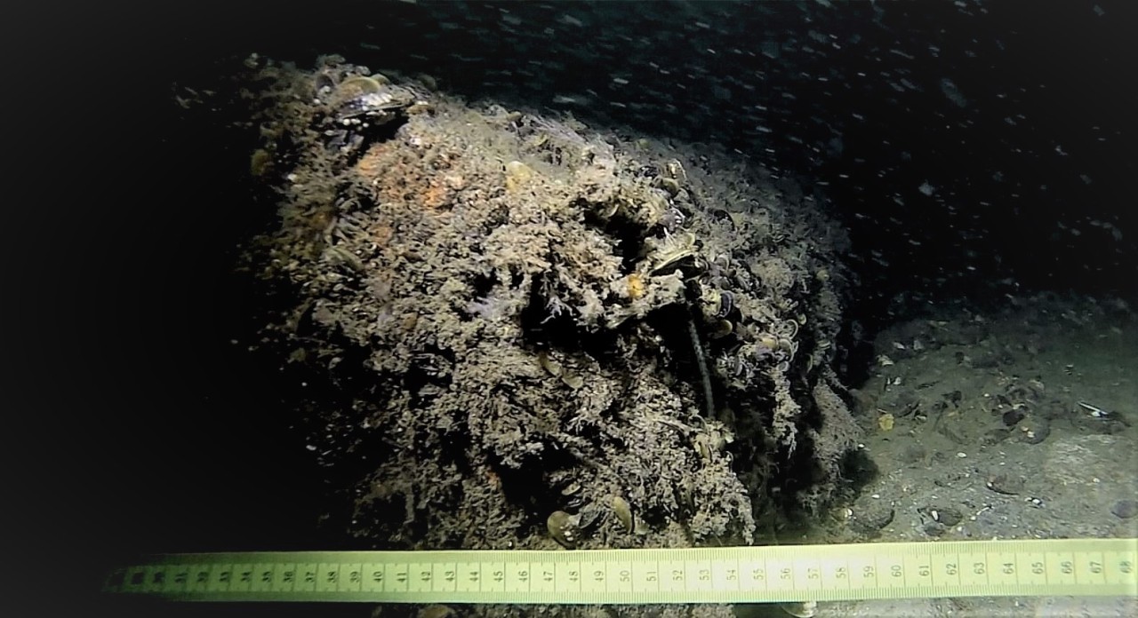 Eine Unterwasseraufnahme von Altmunition – so etwas begegnet Hartmut Krämer unter Wasser