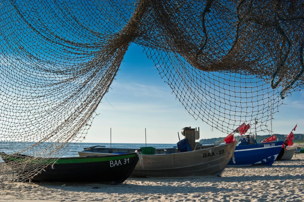 Als Geisternetze werden Fischernetze zum Umweltproblem. 