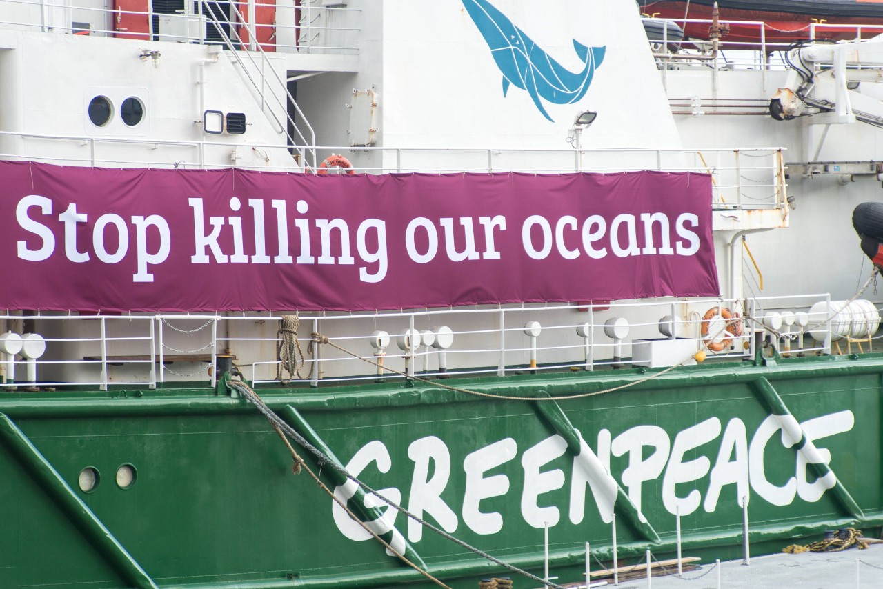 Das Schiff „Esperanza“ von Greenpeace.