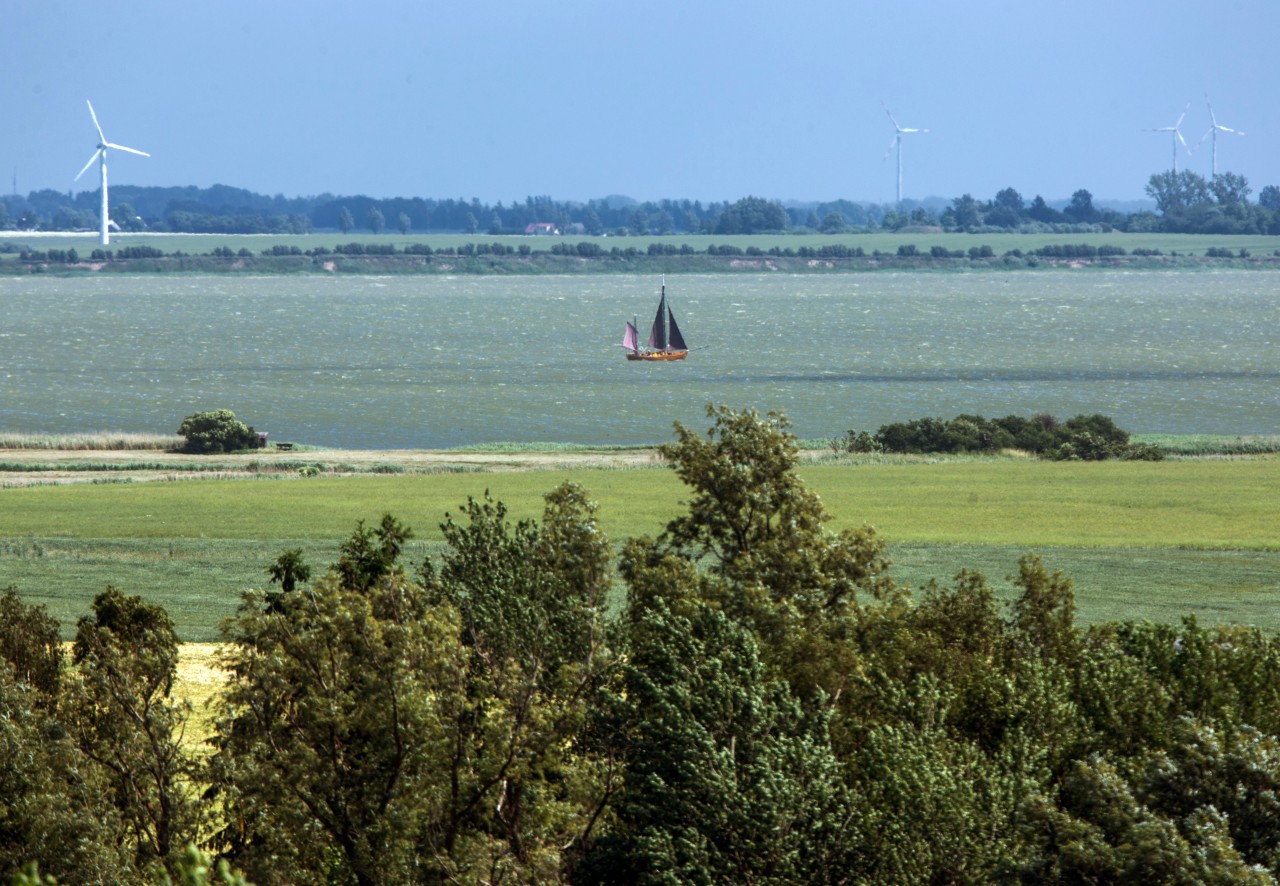 Kritiker des geplanten Tourismus-Projekts am Saaler Bodden an der Ostsee befürchten Schäden für die Umwelt. (Symbolbild) 